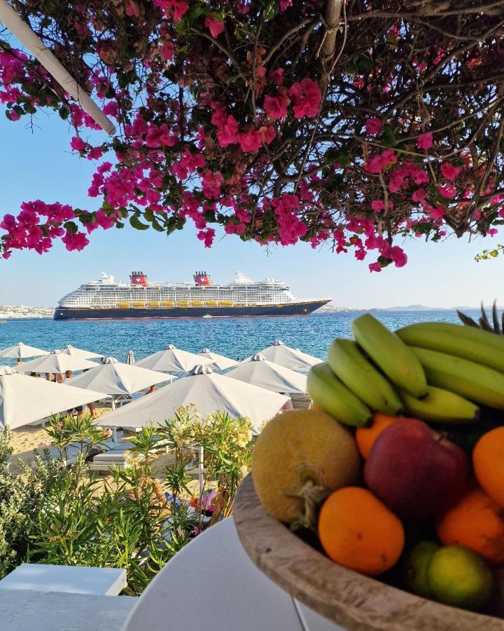 Appartamento Sikate Hospitality Mykonos Town Esterno foto